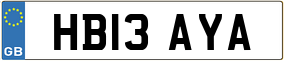 Trailer License Plate